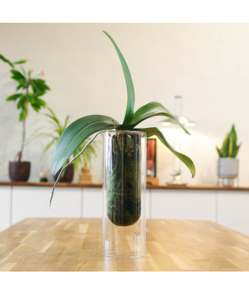 SiloVase, un vase en lévitation !
