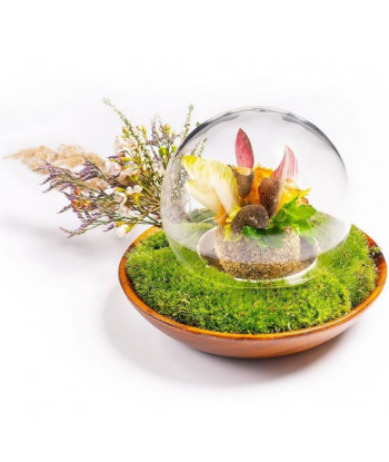 BULLE14CM Silodesign -Core by Clare Smyth (Celeriac, roasted over wood with black truffle and hazelnut) Instagram